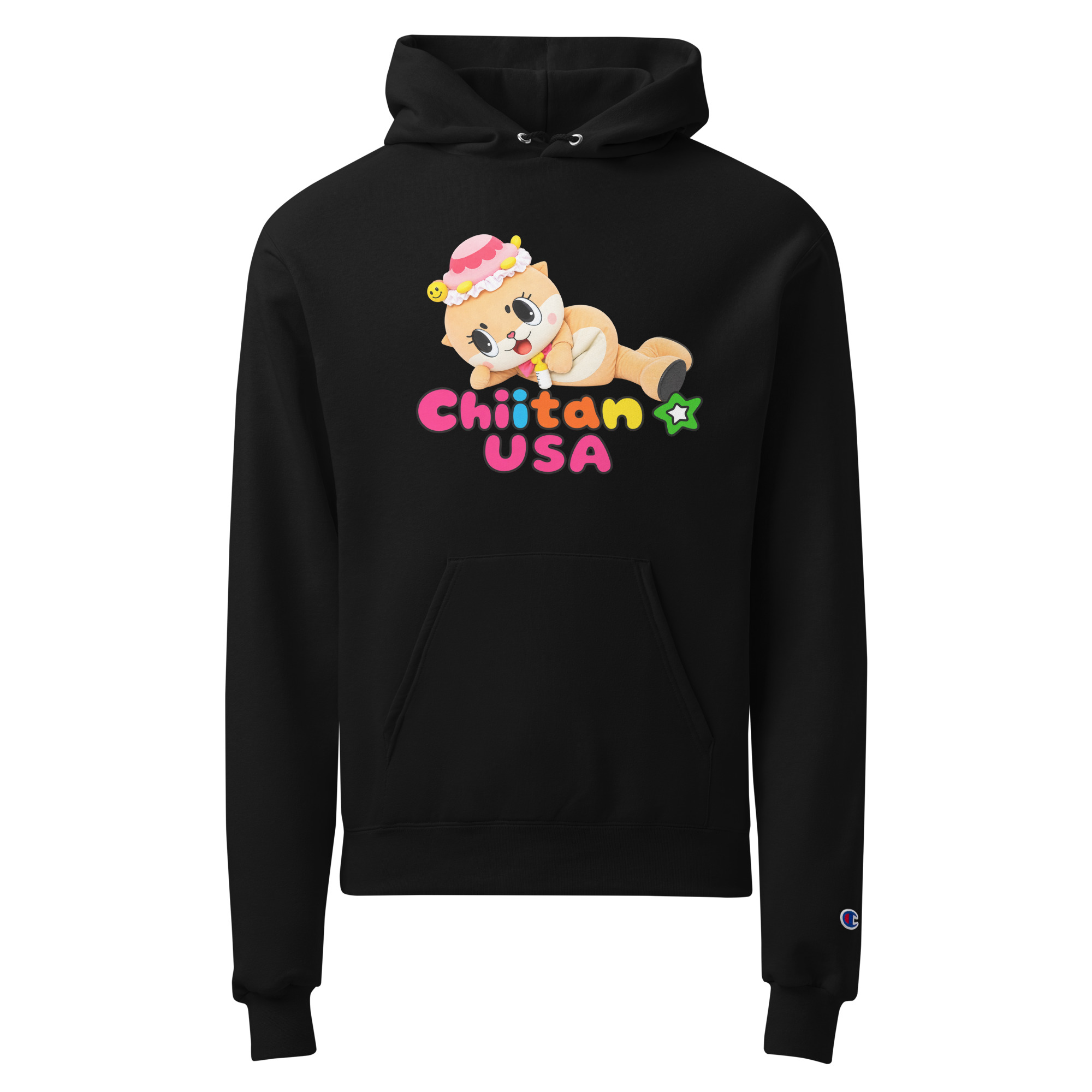 Unisex Champion hoodie - Image 10